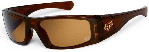 The Condition in Polished Rootbeer / Bronze Polarized
